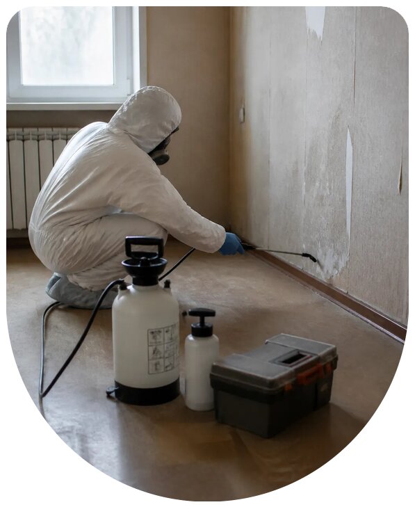 Профессиональные услуги санэпидемстанции СЭС в Заинске